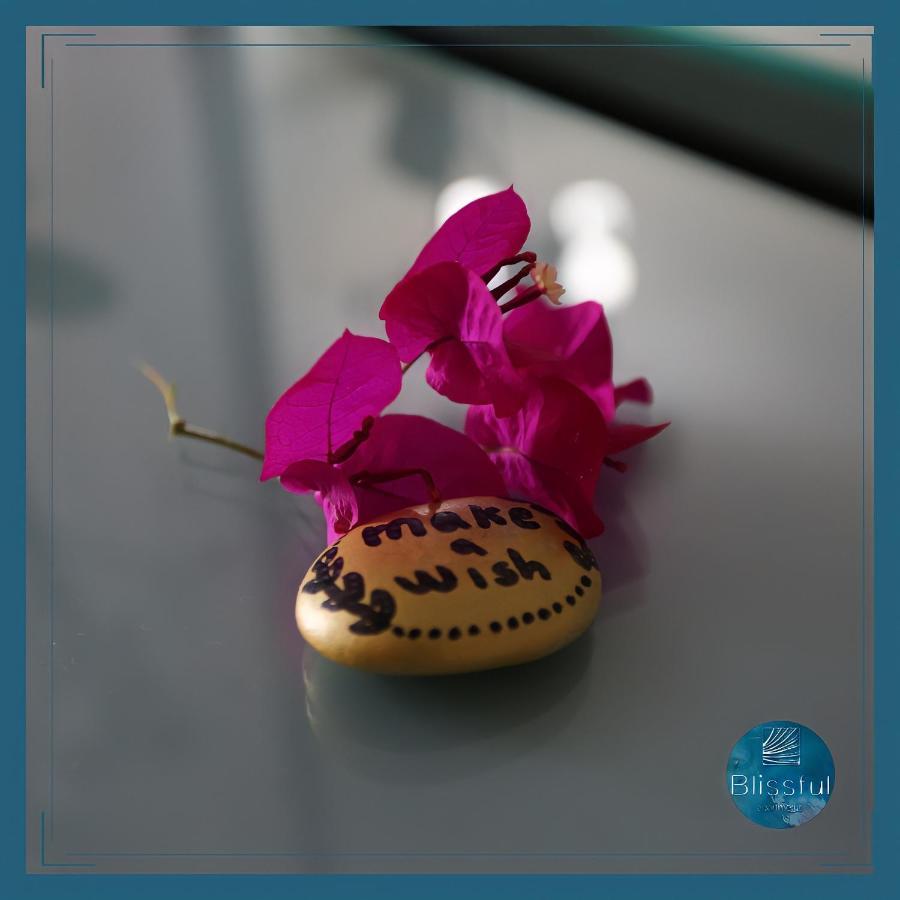 Blissful Apartments ซารานเดอ ภายนอก รูปภาพ